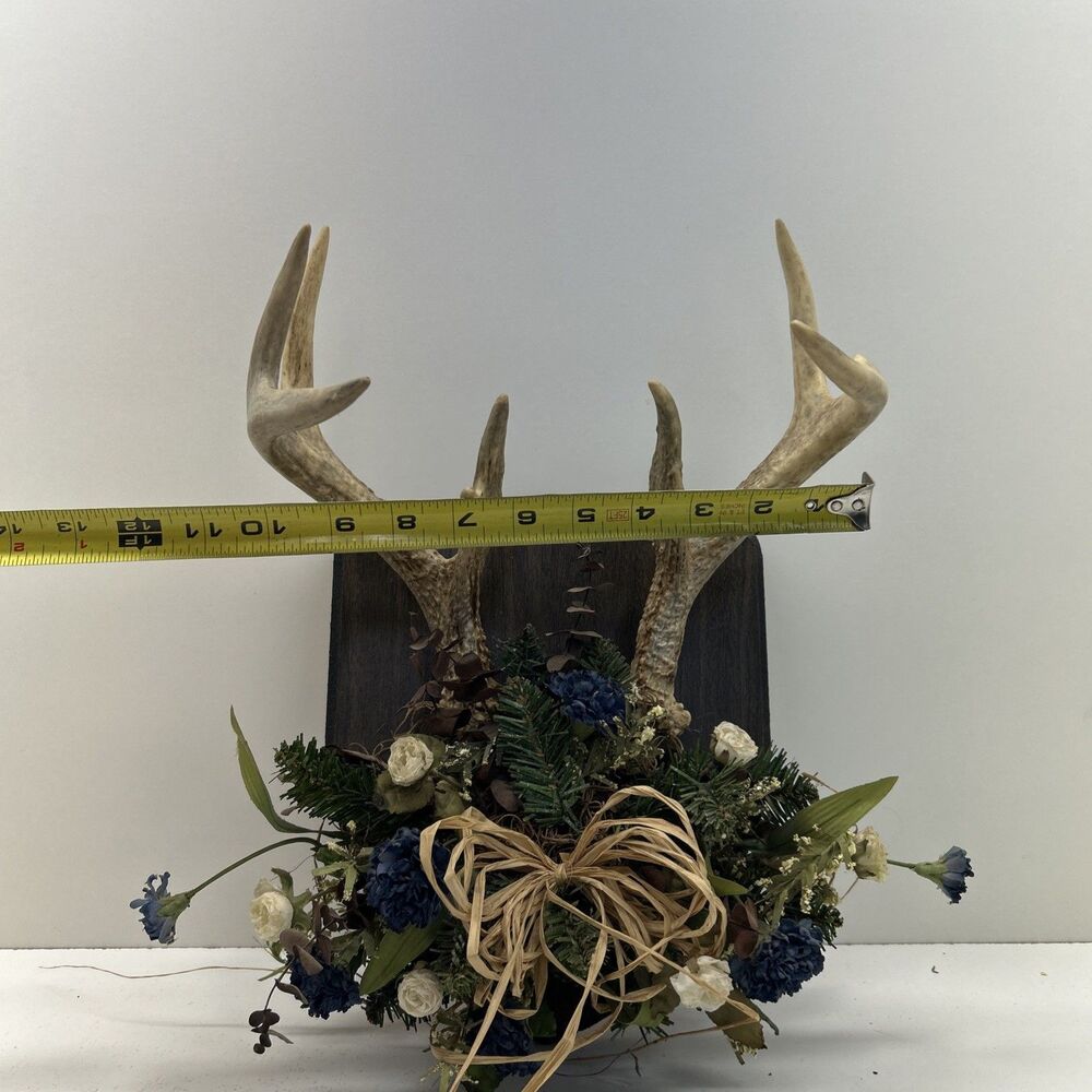 Vintage Floral Deer Antlers Trophy Mount Plaque 8 Point Cabin Decor Rustic - Picture 6 of 7